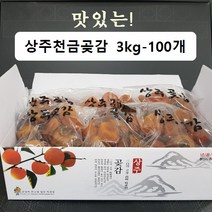상주곶감 실속가정용선물 3kg-100개, 3kg