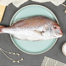 싱싱테이블 삼천포 자연산 반건조생선 설 선물세트 A, 다올1 제수용A세트, 다올1 본상품선택