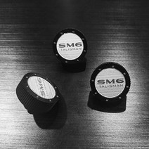 카인테리어 번호판 볼트 SM6 탈리스만