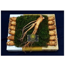 6년근수삼 금산 인삼 튀김 한채 담금주만들기 효능 장인어른생신선물 13뿌리