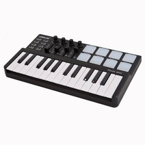 WORLDE Panda MINI 25건반 마스터키보드 미디콘트롤러, 트리거 패드 LED 없음