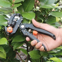 접목가위 다용도 원예공구 조경가위 과수원 접붙이기, 오렌지