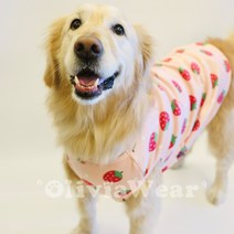 대형견 잠옷 3xl 4xl 5xl 강아지 잠옷, 5XL-가슴둘레 84 기장 65 (올리), D