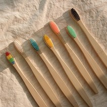 NPE 컬러 대나무 칫솔 시즌2 [제로웨이스트 제품 부드러운 미세모 나무 생분해 밤부 치솔], 블랙