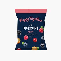 [생활앤] 냉동 파이브베리 500g x 2개, 단품