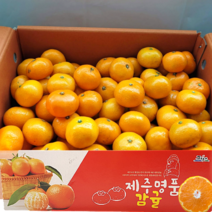 산지직송 제주도 서귀포 고당도 극조생감귤 제주 프리미엄 명품 감귤 가정용 새콤달콤 신선한 귤, 로얄과(S-M) 3kg, 1개
