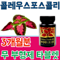 식품 안정선 검사 통과한 힐링 콜레우스 포스콜리 콜리우스 포스코리 간편하게 먹는 무 부형제 스테아린 마그네슘 이산화규소 없는 무첨가 타블렛 파는곳 추천, 3