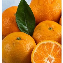 SJ1)영화청과 특급 제주도귤 2kg 청 만들기 하우스 노지, 영화청과 특급 제주도귤 2kg 청 _옵션