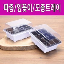 파종 잎꽂이 모종트레이, 1개