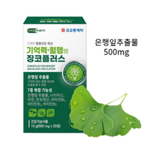 코오롱제약 기억력혈행엔 징코플러스 500mg 2개월분 3개월분, 30정, 2개, 30정