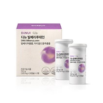 디뉴 빌베리 루테인 눈건강 영양제 (450mg x 60캡슐) 1박스, 단품, 단품