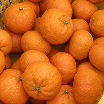 [팜니스] 제주 카라향 가정용 3kg 5kg 10kg 못난이, 카라향 상품 10kg, 1개