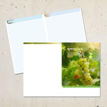계절 디자인 주보용지 교회 순서지 예배 주보지 안내지 청년부 주일학교 교회행사 성경학교 맥추 추수감사 성탄절 사순절, EA-02