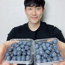칠레 생 블루베리 생과 미국산 국산 125g +125g 250g