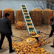소형 컨베이어벨트 콤베어 콘베아 컨베어 밸트 물류, 모터유4미터 접이 컨베이어 벨트 세트300mm