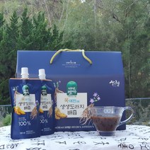 (경남관광기념품점 산청군) 산청이 주는 선물 목애편 생생도라지 배즙 (100mlx30개), 1개