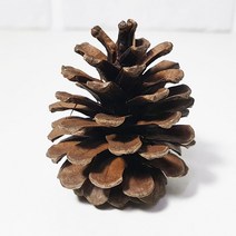 한소픈 크리스마스 장식 자연솔방울 천연가습기 트리 데코 크리스마스 소품 겨울인테리어 소품