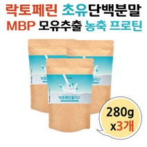 mbp 엠비피 락토페린 유산균 살찌는분유 초유성분 단백질 보충제 초유단백질 유청 분말 10대 청소년 주니어 초등생 어린이 단백질 파우더 농축초유단백질 COLOSTRUMMILK
