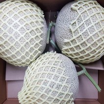 국내산 전남곡성 멜론 머스크메론 8kg 로얄과 과일선물세트