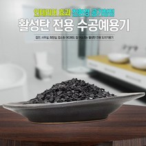 활성탄전용도자기그릇W-2야자숯공기청정새집증후근, 없음