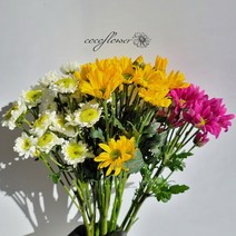 [코코 플라워] 소국 생화택배 꽃배달싼곳 3가지색상 반단 한단, 노랑