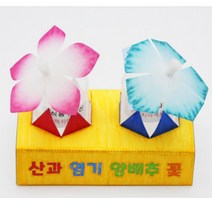 초등 5학년과학 산과염기 양배추 꽃 만들기 세트 교구 실험실 사이언스 연구