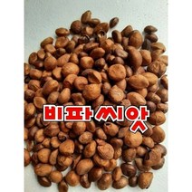 완도산 비파씨앗 1팩 500G