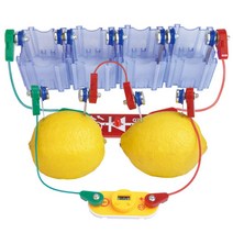 전해질용액 전기생성원리 8세 과학실험키트 의사소통 집중력 수행평가 홈스쿨링