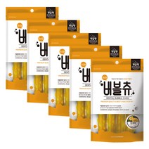코코브라운 강아지 유산균 버블츄 간식 치약껌 100g, 5개, 단호박