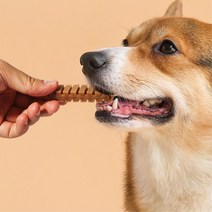 노령견 잇몸건강 구강 관리 덴탈케어츄 80g 소형견껌, 소형 s