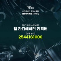 현대모비스 캡 라디에이터 리저버 (25441S1000)