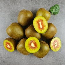 [식품의즐거움] GAP인증 해남 레드키위 2.5kg 55과내외, 단품