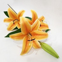 백합조화 옐로우