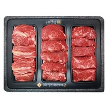 [알뜰장터 남도몰]명품한우1+등급 등심선물세트P4, 등심2.4Kg