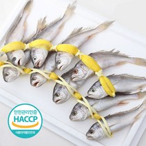 바다성찬 침조기 긴가이석태10미 10미(1.0~1.3kg), 10마리, 2호(1.3kg)