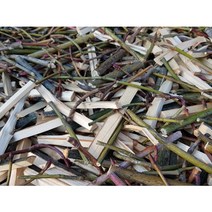 벌나무가지 산청목 산겨릅나무 건가지 500g, 1개
