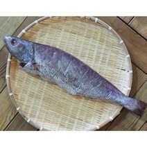 국산 손질 통민어 한마리/보양 민어탕용/3년생이상 손질후 1.4kg내외, 1개