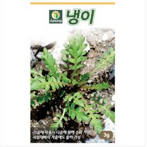 냉이 씨앗 종자 발아율이 좋은 국내 햇종자 다농 냉이씨앗 [야채씨앗@22], 상세페이지 참조