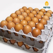 에그트리 생계란 농장직송 달걀, 90구(5400g이상), 특란