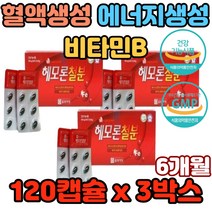 혈액생성 에너지생성 비타민B 산화아연 해조칼슘결핍 어지러움 면역력저하 두통 피로감 추천 효과 효능 섭취 가격 20대 30대 40대 여성 남성 집중력저하