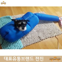 애견목욕 푸들 말티즈 빠삐용 드라이룸 블루 웰시코기 목욕관리 비숑프리제 비숑 퍼그, M