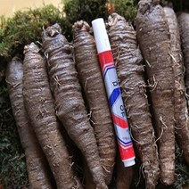 고씨네더덕 횡성더덕6호 국산더덕 국산더덕 햇더덕, 1