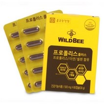 종근당 프로폴리스 아연c 비염 영양제 비염에좋은 약 만성 몸속 염증 제거 목에좋은 알약, 120정(4개월분), 4개