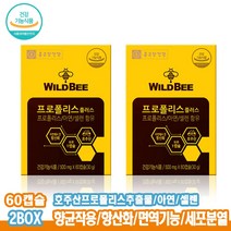 종근당건강 와일드 비프로폴리스 아연 셀레늄 60캡슐 2박스 총120캡슐 건조효모 산화아연