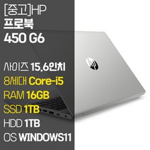 HP ProBook 450 G6 15.6인치 인텔 8세대 Core-i5 RAM 16GB M.2 SSD + HDD 1TB 윈도우11설치 사무용 중고노트북, WIN11 Pro, 2TB, 코어i5, 실버
