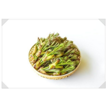 강원도 산지직송 눈꽃 땅두릅 500g, 1.5kg, 1개