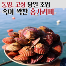 통영 고성 세척 홍가리비 가리비 당일조업 직송, 홍가리비 5kg (125-150미)