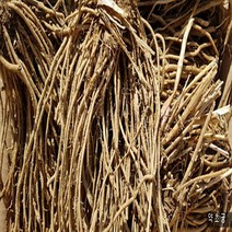 올해 아스파라거스 뿌리 1kg 3년생