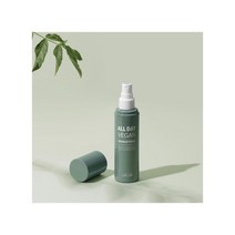 텐바이텐 [리르] 올 데이 비건 메이크업 픽서(100ml), 올데이비건픽서(1개)