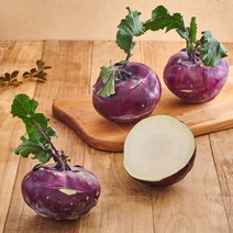 [제주 산지직송] 영양 가득 아삭한 콜라비 3kg 5kg 10kg